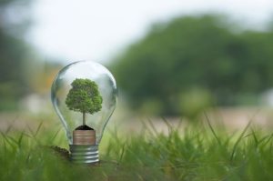 Licenciamento Ambiental Curitiba: Como Funciona e Quem Deve Solicitar?